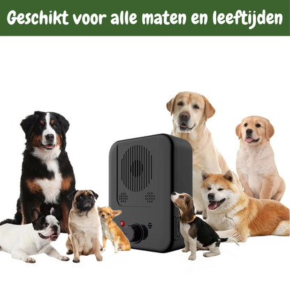 WoofDetector - De slimme oplossing tegen blaffen