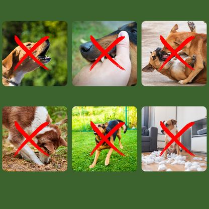 WoofController Max – De Ultieme Hondentrainer