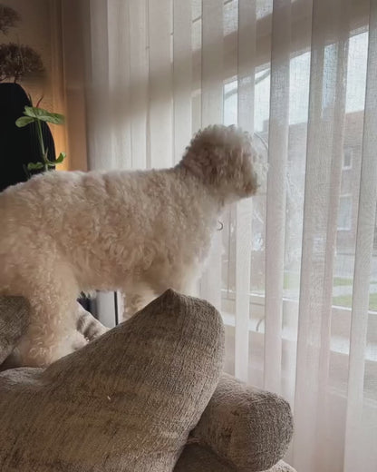 WoofDetector - De slimme oplossing tegen blaffen