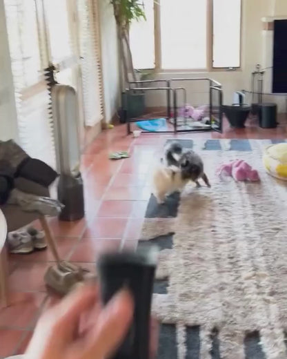 WoofController - Stopt blaffen en ander ongewenst gedrag